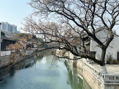 -青果巷历史文化街区