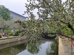 -元大都城垣遗址公园