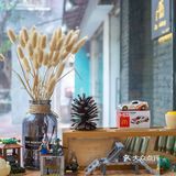 这家店很抢眼～太热的天气找家小店发呆也是很舒服