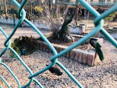 -南京金牛湖风景区