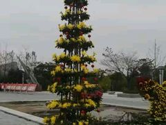 -南湖国家城市湿地公园