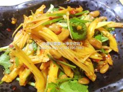凉拌pan zhi hua-大笮风(体育馆总店)