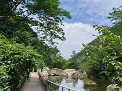 -西安祥峪森林公园