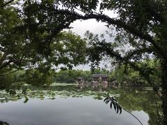 -西湖外事游船(花港观鱼码头)