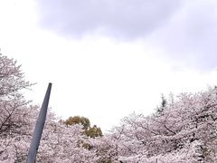 -杭州少年儿童公园