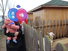 -上海崇明金茂凯悦酒店