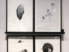 -DK45丹麦家居生活馆·依诺维绅(798店)