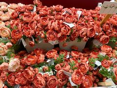 -宜家家居(高新商场店)