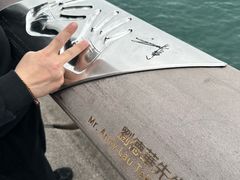 -星光大道