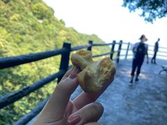 -少华山国家森林公园