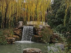 -苏城小院·园林精致苏州菜(斜塘老街店)