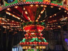 -锦江乐园舞狸花花游园会(夜场专享)
