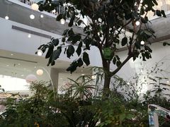 -大树餐厅(红旗街万达店)