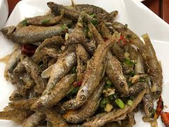 -品雅轩农家乐