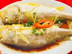 -蛇口康乐快餐鱼仔档(翠苑小区店)