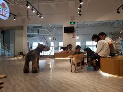 -赢吧Bliss音乐酒吧