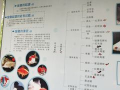 -重庆动物园·东二门售票处