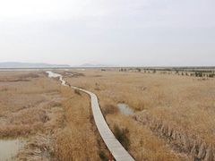 android_upload_pic-漩门湾国家湿地公园