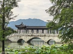 -飞来湖湿地公园