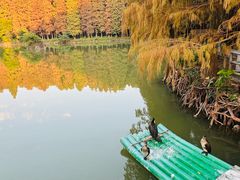 -星湖旅游景区七星岩