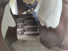-疯狂屋