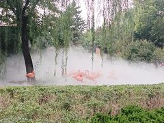 -石家庄市动物园