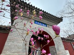 -红螺寺