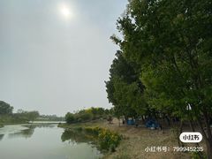 -东郊湿地公园