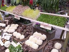 -田园印象·成都土菜院子(华阳店)