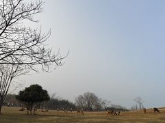 -良渚文化村