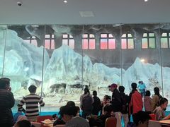 -帝企鹅自助餐厅•儿童岛•真企鹅(长隆企鹅酒店)