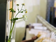 -宝库女装店(绿地缤纷广场店)