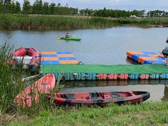 -春花秋色城市公园