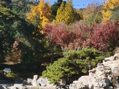 -香山公园