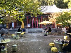 -宫事颐庭·老佛爷贵寿下午茶(颐和园店)