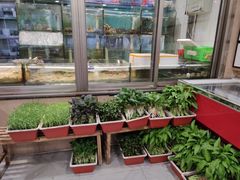 -金地利海鲜酒楼(清凉门店)