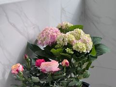 -朝来春花卉市场