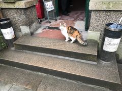 -巴金故居