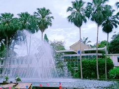 -中国科学院西双版纳热带植物园