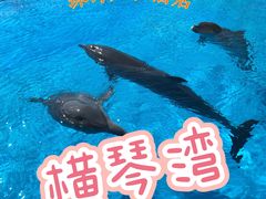 -长隆横琴湾酒店(珠海旗舰店)