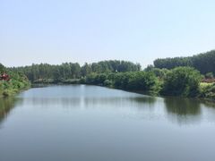 -南海禅寺