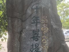 -西双版纳傣族园