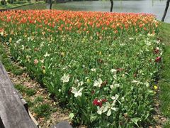 android_upload_pic-上海鲜花港
