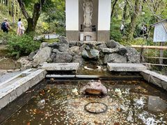 -天龙寺