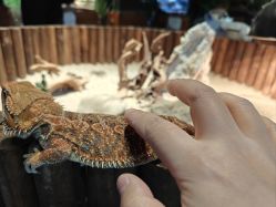 -酷嗒动物文化乐园(cutezoo西溪乐天城店)