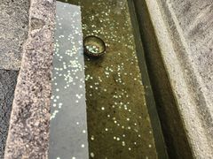-蔡元培故居