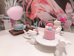 火烈鸟-随心小姐