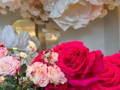 -PARFUM FLORAL花境法餐(南京首店)