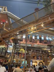 -卡通尼·Safari非洲探索乐园·生日会(金桥国际商业广场店)