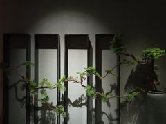 -璞·澐间影院式足道SPA(尚悦湾店)